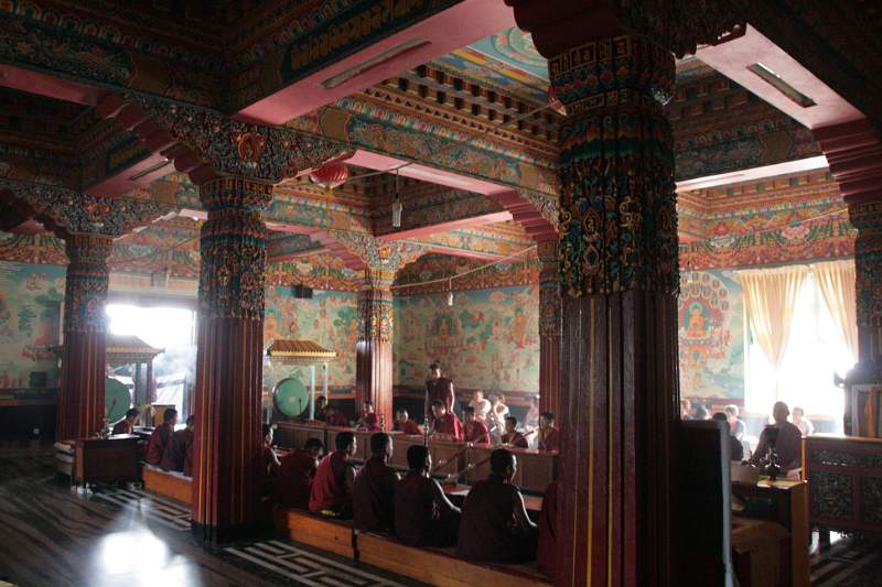 India & Nepal 2011 - 0455